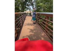 IMG_0239